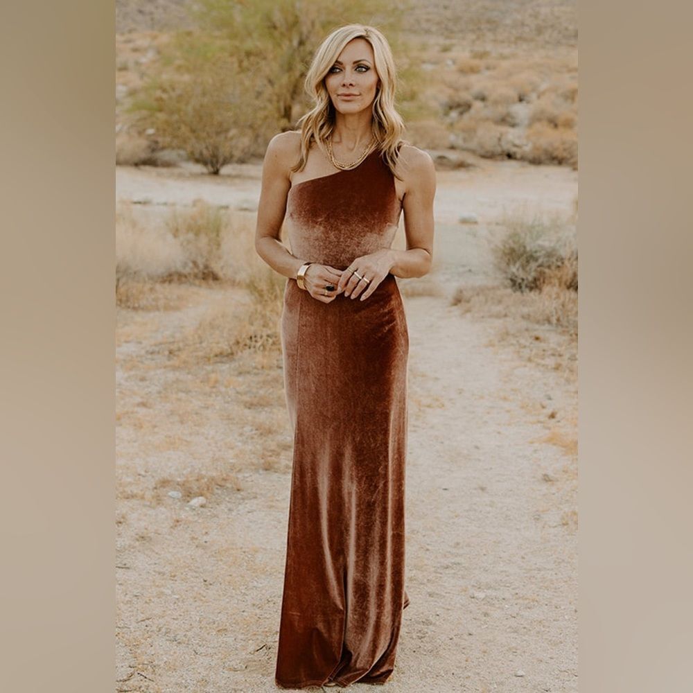 Baltic Born Tatiana Velvet One Shoulder Maxi Dress Bronze Size L
